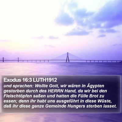 Exodus 16:3 LUTH1912 Bible Verse Image