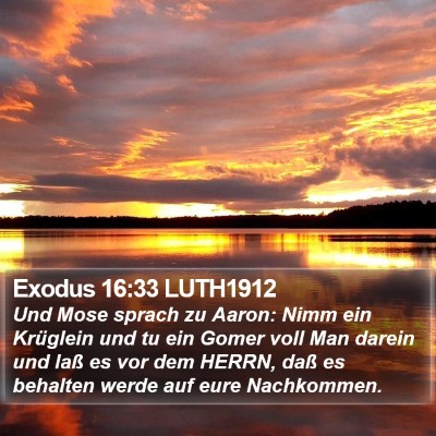 Exodus 16:33 LUTH1912 Bible Verse Image