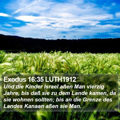 Exodus 16:35 LUTH1912 Bible Verse Image