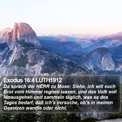 Exodus 16:4 LUTH1912 Bible Verse Image