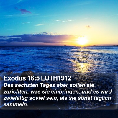 Exodus 16:5 LUTH1912 Bible Verse Image