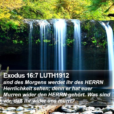 Exodus 16:7 LUTH1912 Bible Verse Image