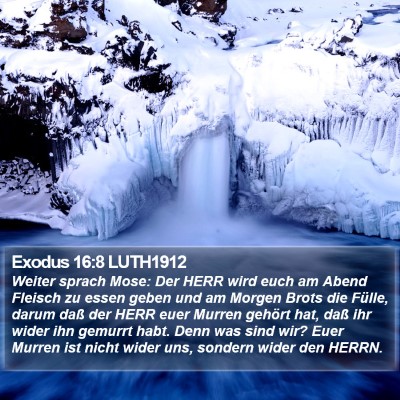 Exodus 16:8 LUTH1912 Bible Verse Image