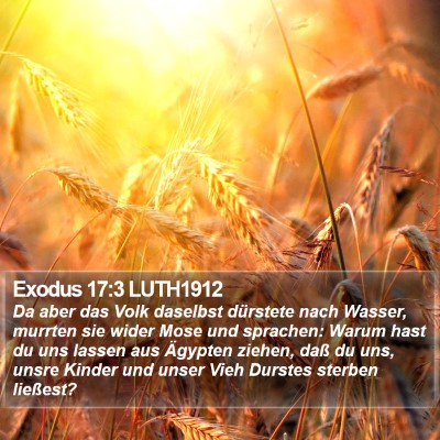 Exodus 17:3 LUTH1912 Bible Verse Image