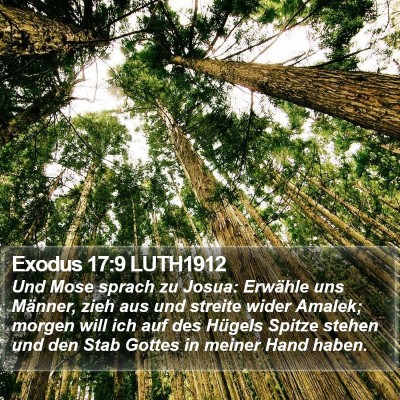 Exodus 17:9 LUTH1912 Bible Verse Image