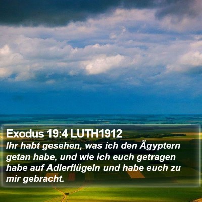 Exodus 19:4 LUTH1912 Bible Verse Image