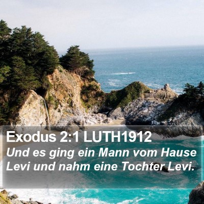 Exodus 2:1 LUTH1912 Bible Verse Image