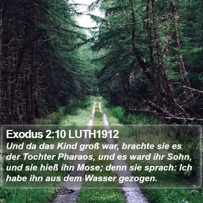 Exodus 2:10 LUTH1912 Bible Verse Image