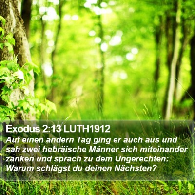 Exodus 2:13 LUTH1912 Bible Verse Image