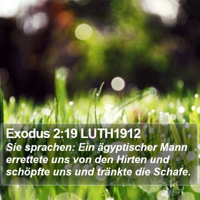 Exodus 2:19 LUTH1912 Bible Verse Image