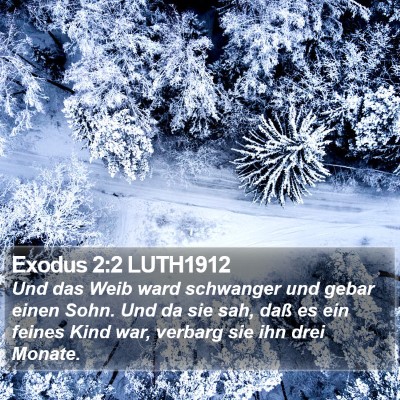 Exodus 2:2 LUTH1912 Bible Verse Image