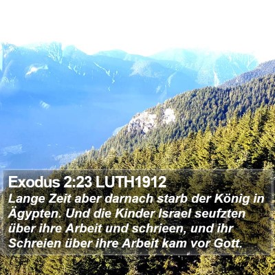 Exodus 2:23 LUTH1912 Bible Verse Image