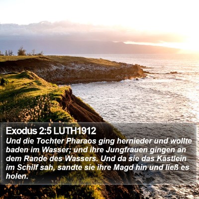 Exodus 2:5 LUTH1912 Bible Verse Image