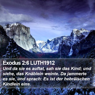 Exodus 2:6 LUTH1912 Bible Verse Image