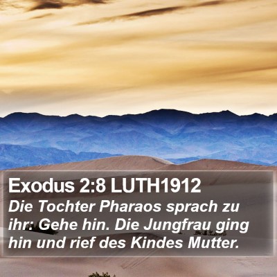 Exodus 2:8 LUTH1912 Bible Verse Image