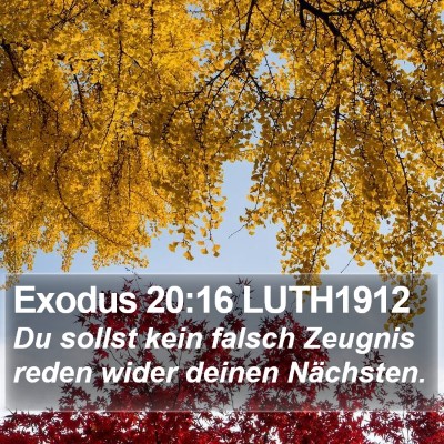 Exodus 20:16 LUTH1912 Bible Verse Image