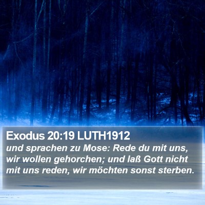 Exodus 20:19 LUTH1912 Bible Verse Image