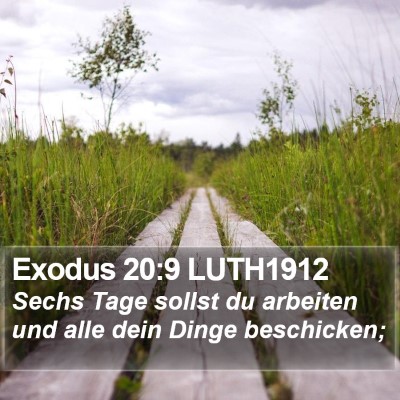 Exodus 20:9 LUTH1912 Bible Verse Image