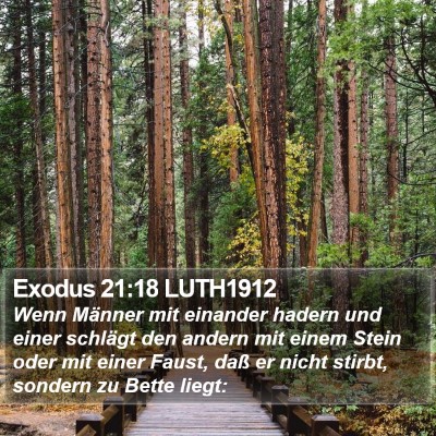 Exodus 21:18 LUTH1912 Bible Verse Image