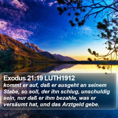 Exodus 21:19 LUTH1912 Bible Verse Image
