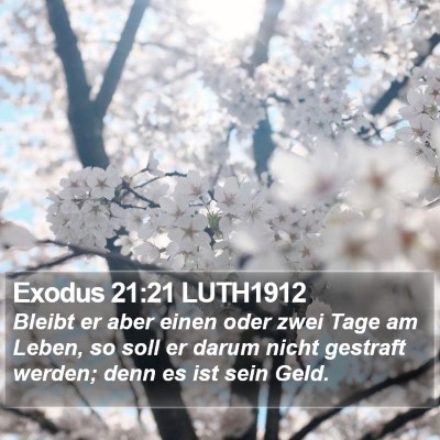 Exodus 21:21 LUTH1912 Bible Verse Image