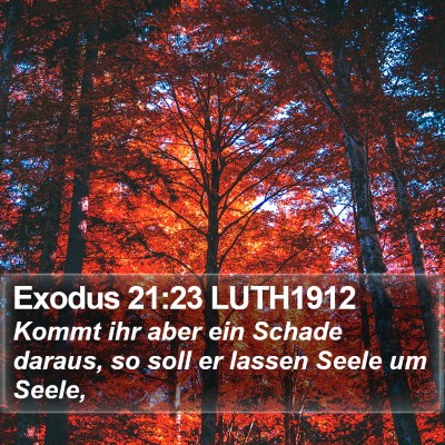 Exodus 21:23 LUTH1912 Bible Verse Image