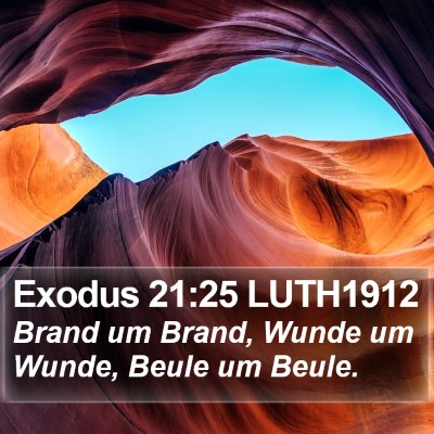 Exodus 21:25 LUTH1912 Bible Verse Image