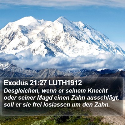 Exodus 21:27 LUTH1912 Bible Verse Image