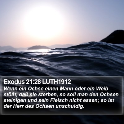 Exodus 21:28 LUTH1912 Bible Verse Image