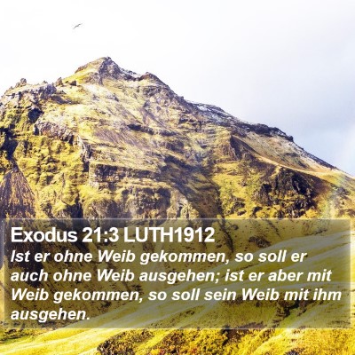 Exodus 21:3 LUTH1912 Bible Verse Image