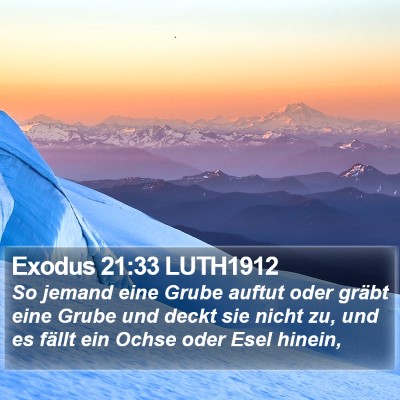 Exodus 21:33 LUTH1912 Bible Verse Image