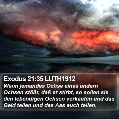 Exodus 21:35 LUTH1912 Bible Verse Image