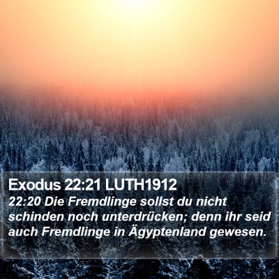 Exodus 22:21 LUTH1912 Bible Verse Image