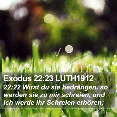 Exodus 22:23 LUTH1912 Bible Verse Image