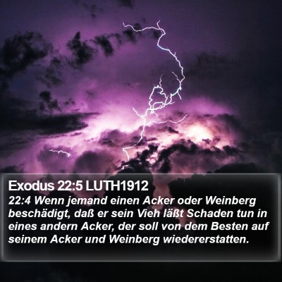 Exodus 22:5 LUTH1912 Bible Verse Image