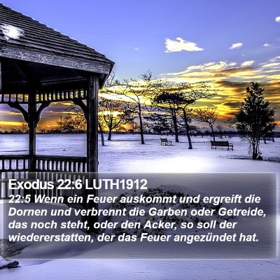 Exodus 22:6 LUTH1912 Bible Verse Image