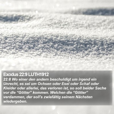 Exodus 22:9 LUTH1912 Bible Verse Image
