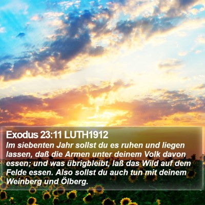 Exodus 23:11 LUTH1912 Bible Verse Image