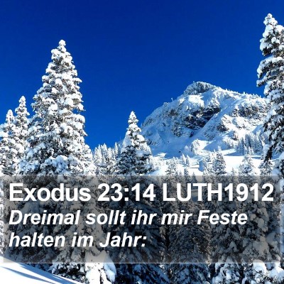 Exodus 23:14 LUTH1912 Bible Verse Image