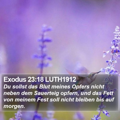 Exodus 23:18 LUTH1912 Bible Verse Image