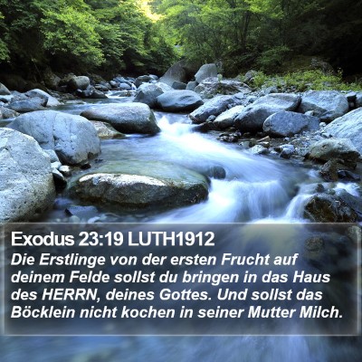 Exodus 23:19 LUTH1912 Bible Verse Image