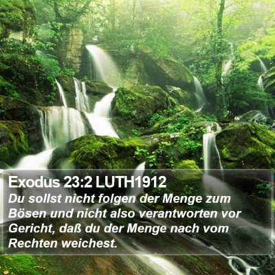 Exodus 23:2 LUTH1912 Bible Verse Image