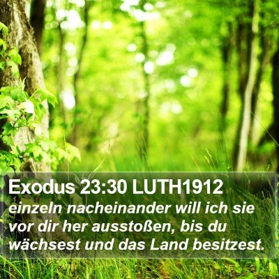 Exodus 23:30 LUTH1912 Bible Verse Image
