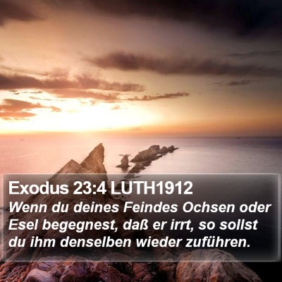 Exodus 23:4 LUTH1912 Bible Verse Image