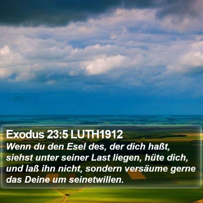 Exodus 23:5 LUTH1912 Bible Verse Image