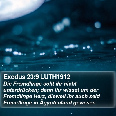 Exodus 23:9 LUTH1912 Bible Verse Image