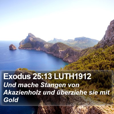 Exodus 25:13 LUTH1912 Bible Verse Image