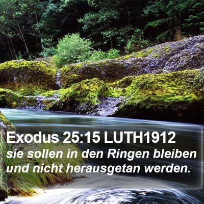 Exodus 25:15 LUTH1912 Bible Verse Image