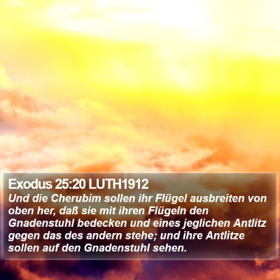 Exodus 25:20 LUTH1912 Bible Verse Image