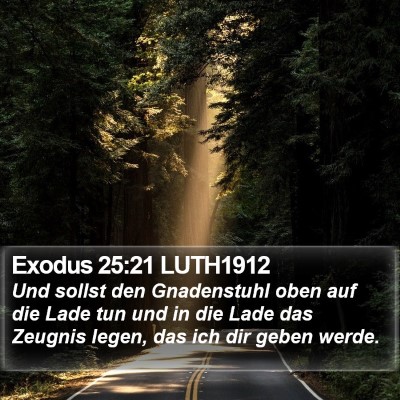 Exodus 25:21 LUTH1912 Bible Verse Image